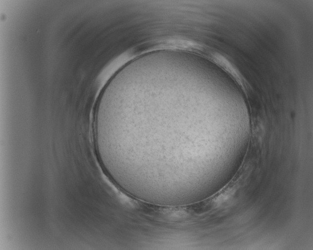 X0000062871103200601171415