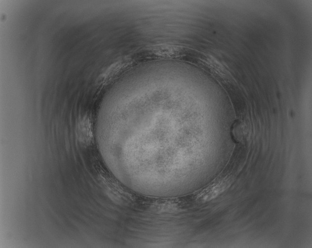 X0000062871106200601171414