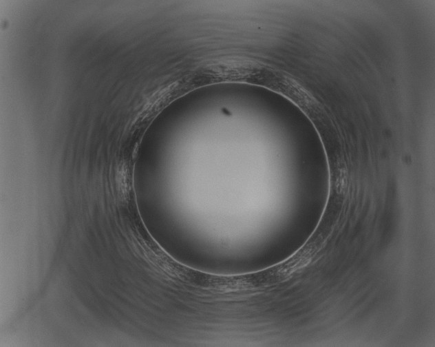 X0000062871108200601171414