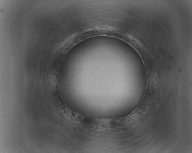 X0000062871110200601171414