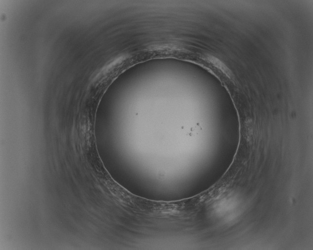 X0000062871111200601171414