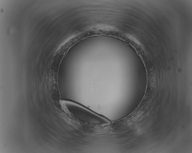 X0000062871112200601171414