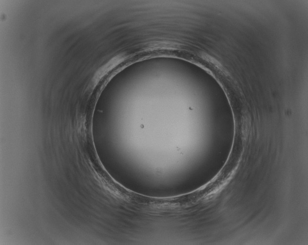 X0000062871113200601171414