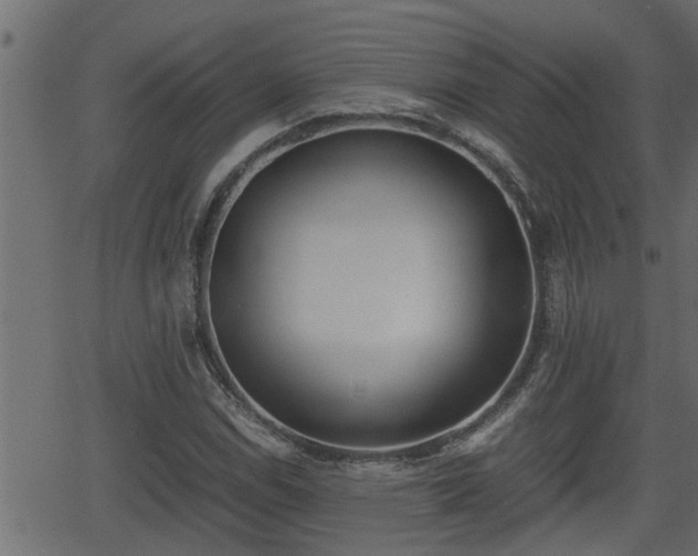 X0000062871114200601171414