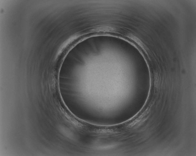 X0000062871115200601171414