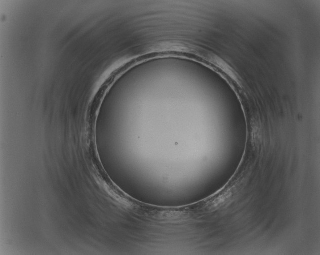 X0000062871116200601171414