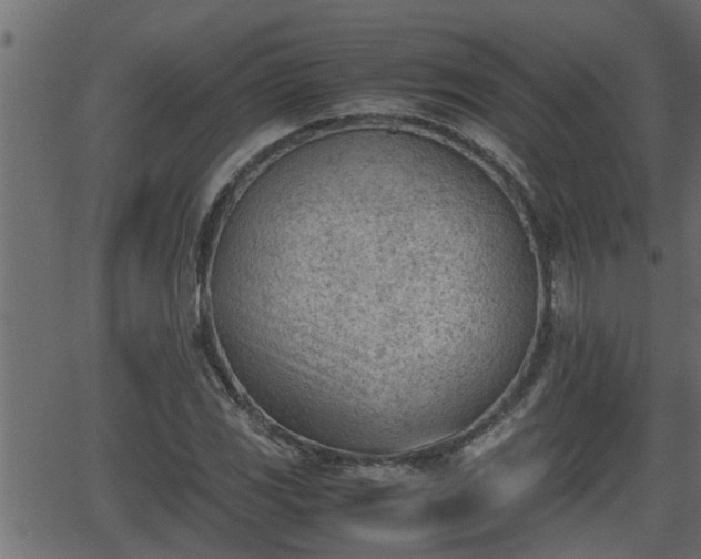 X0000062871117200601171414