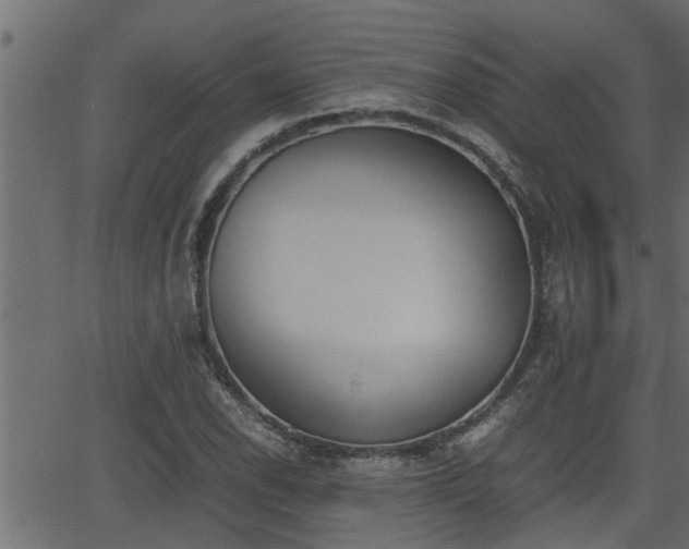 X0000062871118200601171414