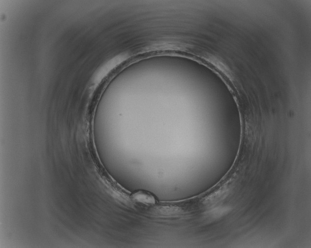 X0000062871119200601171414