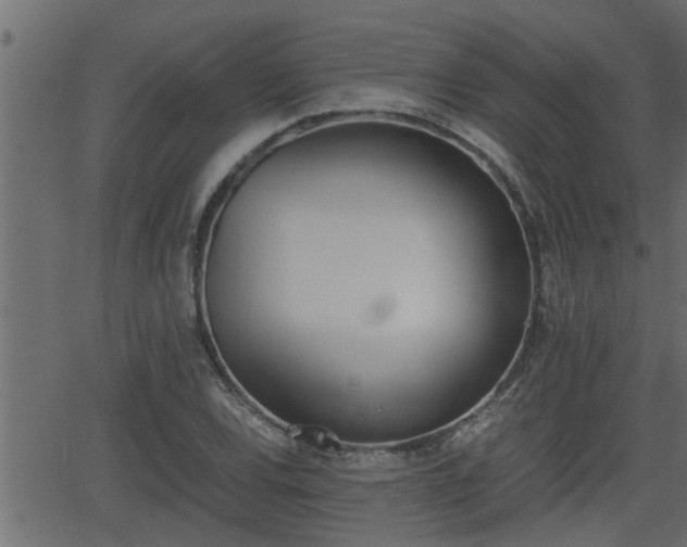 X0000062871120200601171414