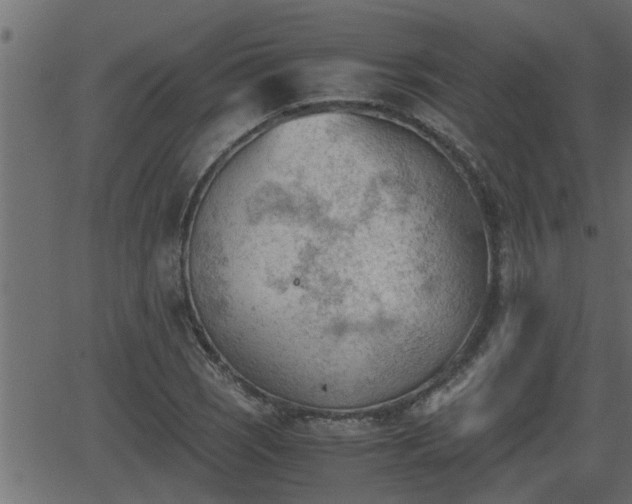 X0000062871121200601171414