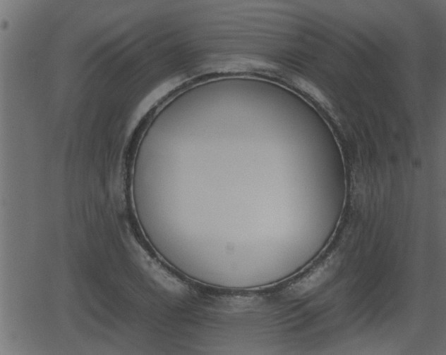 X0000062871122200601171414