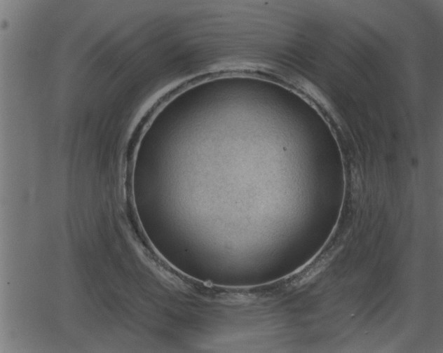 X0000062871124200601171414