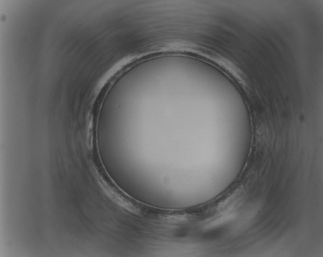 X0000062871126200601171414