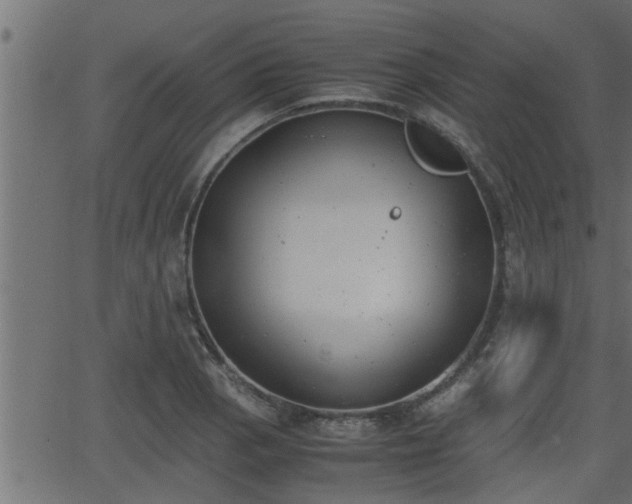 X0000062871129200601171414