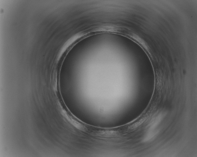 X0000062871131200601171414