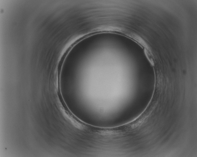 X0000062871132200601171414