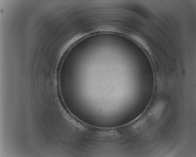 X0000062871133200601171414