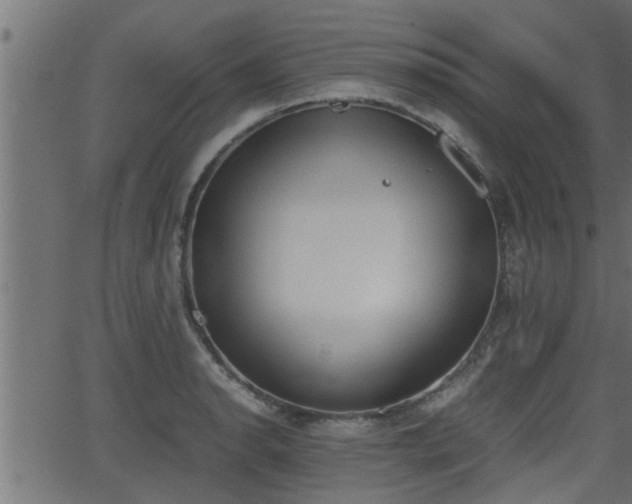 X0000062871134200601171414