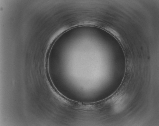 X0000062871135200601171414