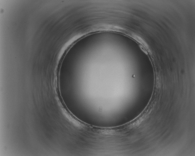 X0000062871136200601171414