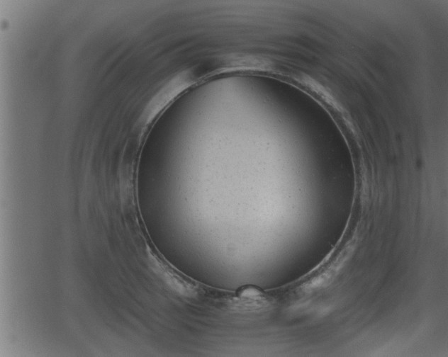 X0000062871137200601171414