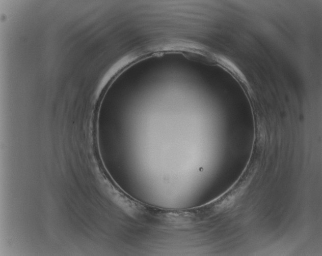 X0000062871138200601171414