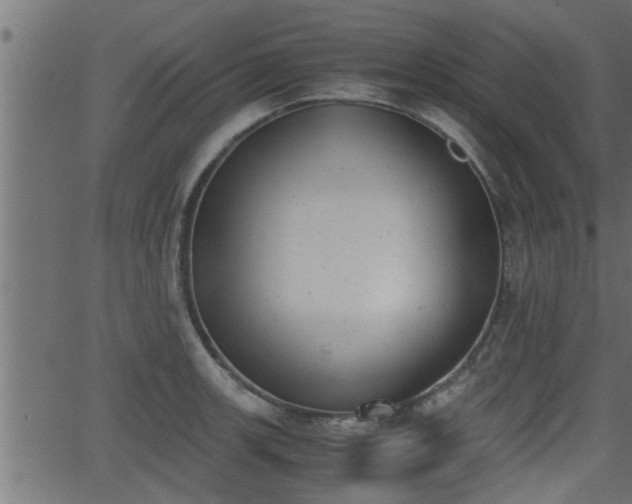 X0000062871139200601171414