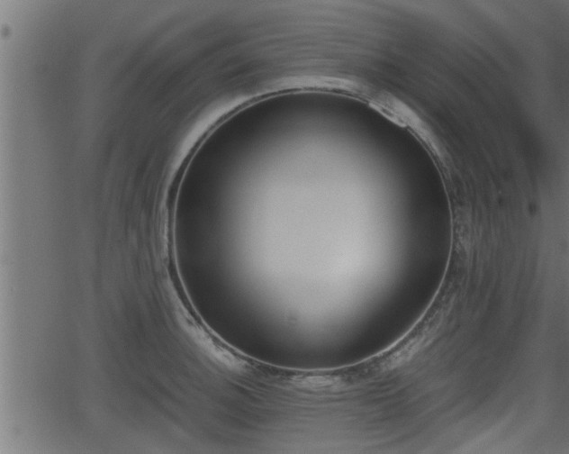 X0000062871140200601171414