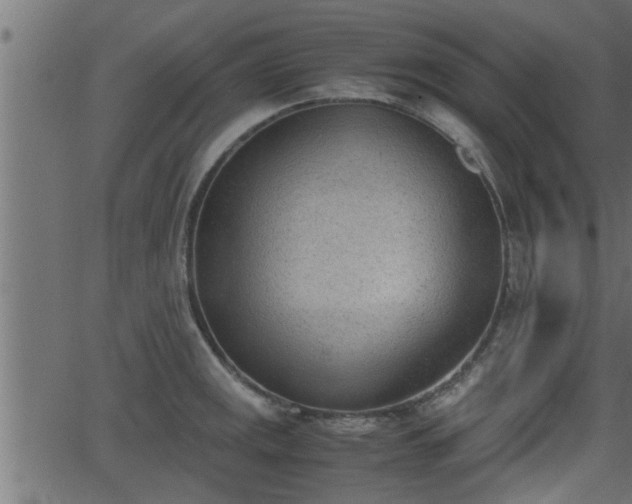 X0000062871141200601171414