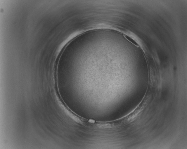 X0000062871142200601171414