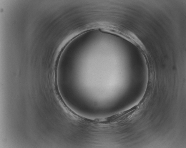 X0000062871144200601171414