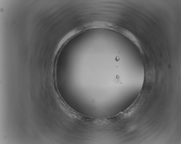 X0000062871146200601171414