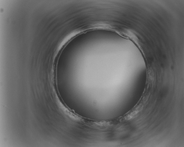 X0000062871147200601171414