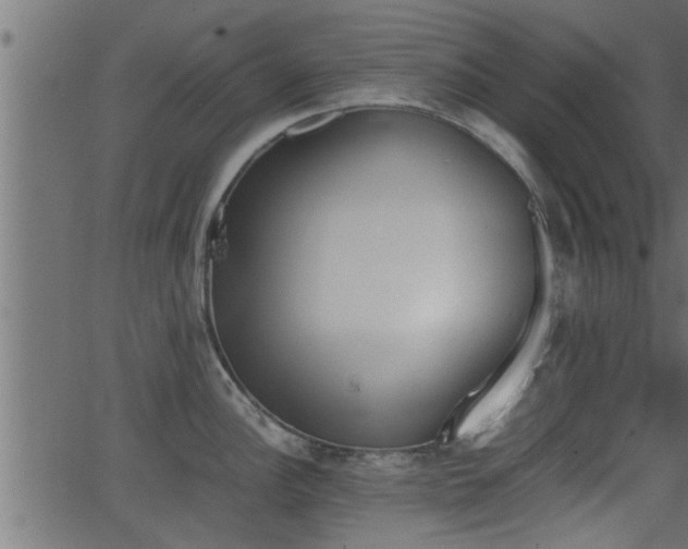 X0000062871148200601171415