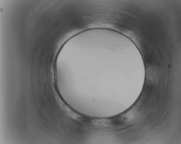 X0000062871150200601171415