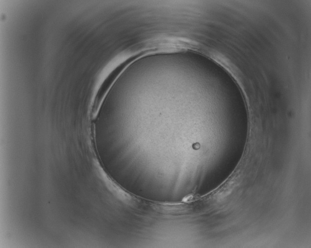 X0000062871152200601171415