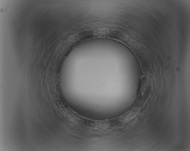 X0000062871153200601171414