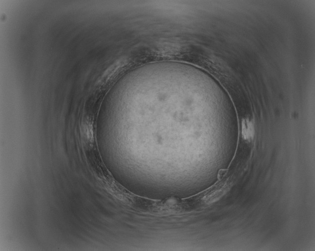 X0000062871155200601171414