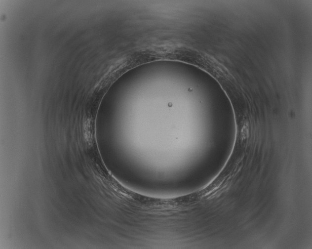 X0000062871156200601171414