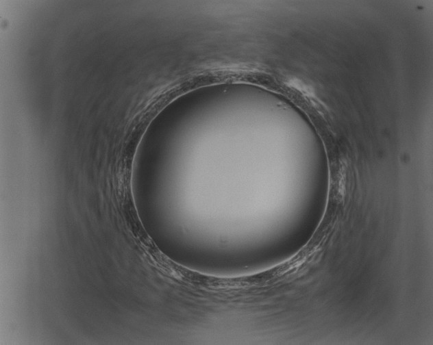 X0000062871157200601171414