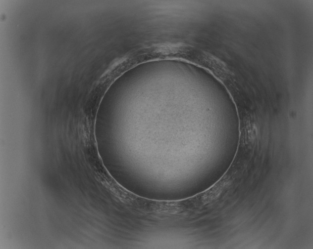 X0000062871158200601171414