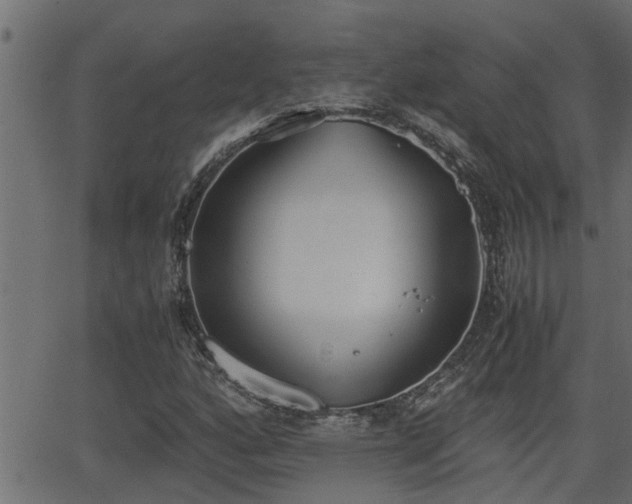 X0000062871160200601171414