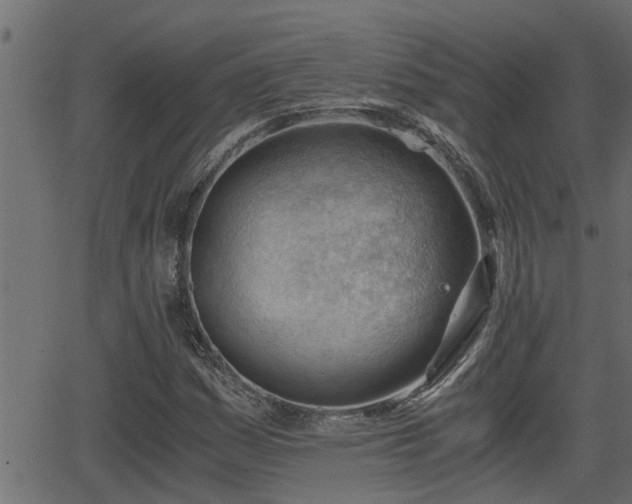 X0000062871161200601171414