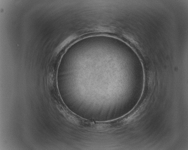 X0000062871163200601171414