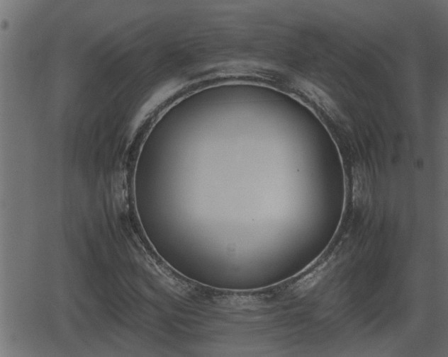 X0000062871164200601171414