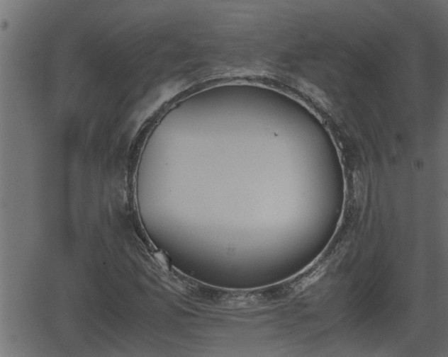 X0000062871165200601171414