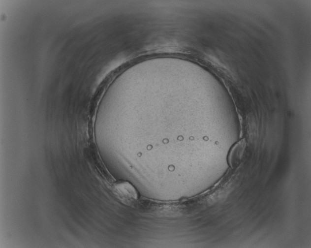 X0000062871166200601171414