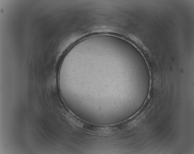 X0000062871167200601171414