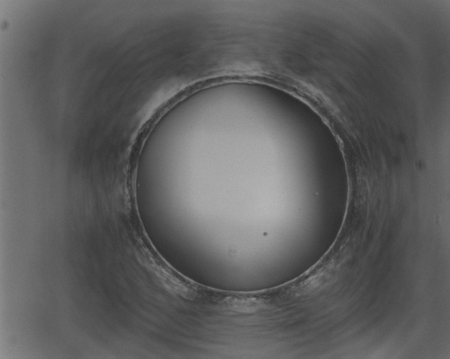 X0000062871168200601171414